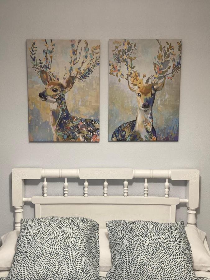 Apartamento Relax Apartment Aguilar de Campóo Екстериор снимка